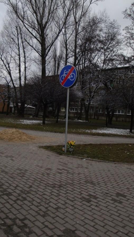 Koniec ścieżki i kwiaty
