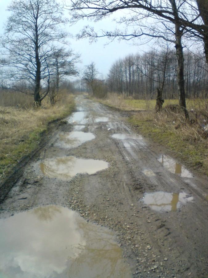 Błotna droga