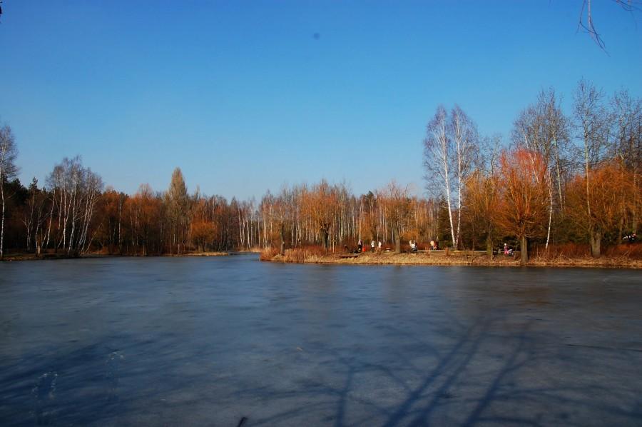 Park Kazimierz Górniczy