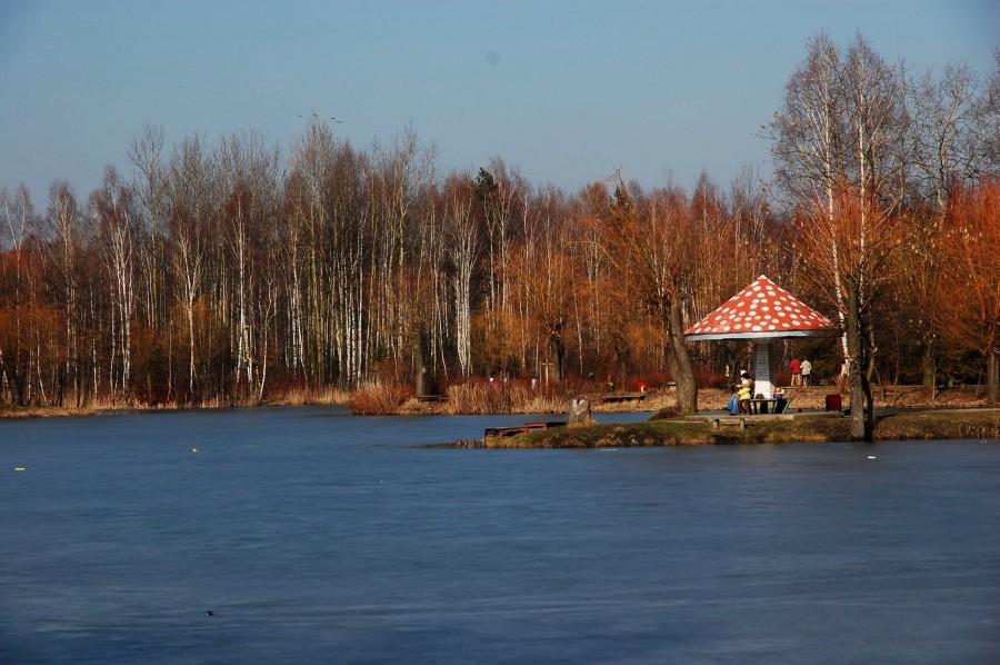 Park Kazimierz Górniczy