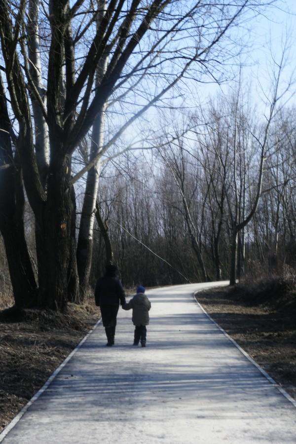 Nowa ścieżka nad zalewem