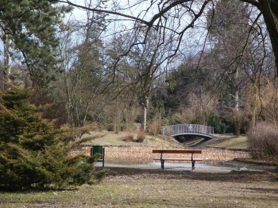 Park Piłsudskiego - mostek