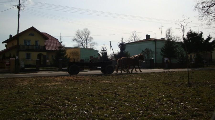 Dobra koło Łodzi