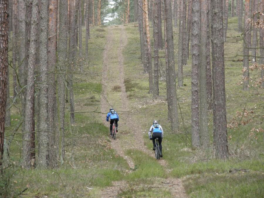 Górki Damiana