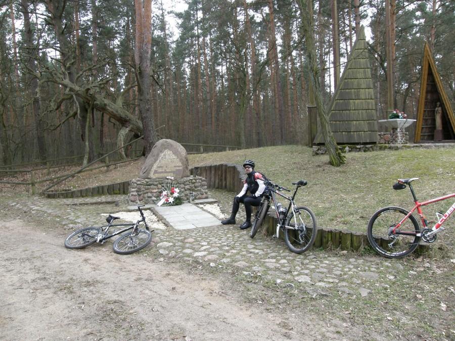 Pod Sosną Powstańców