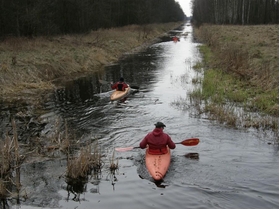 Kajakarze na kanale Łasica