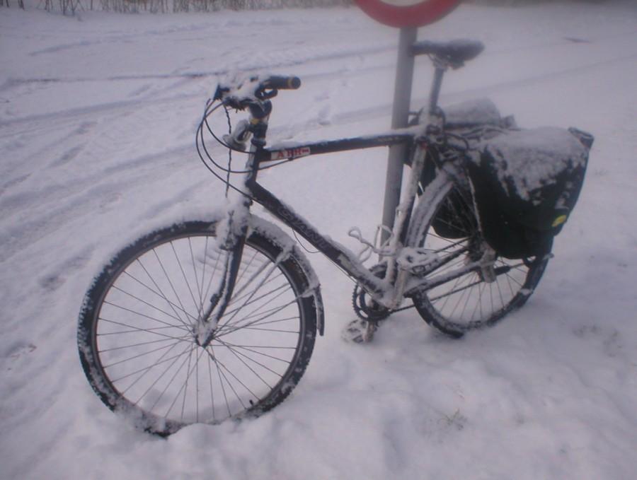 GIANT WIOSNĄ