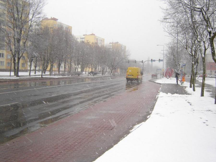 Pieszczocha pogodowa