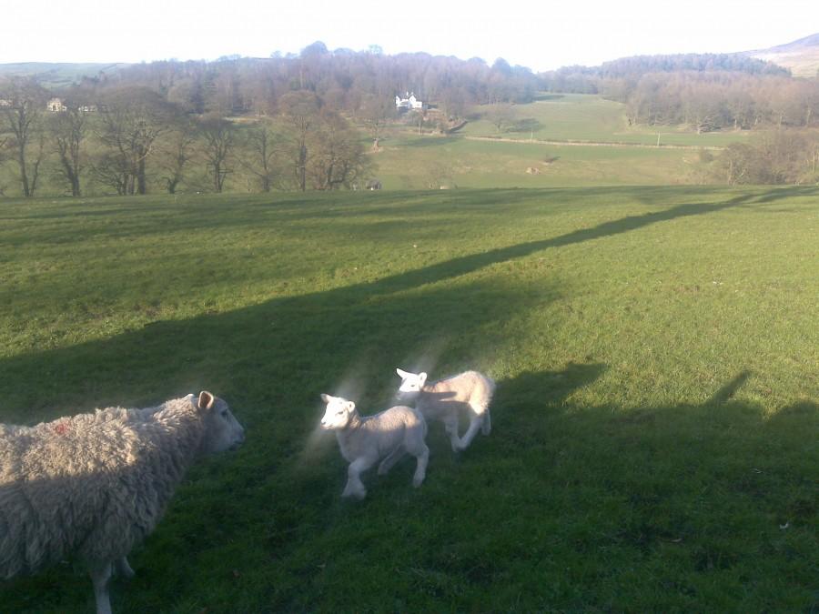 yorkshire dales