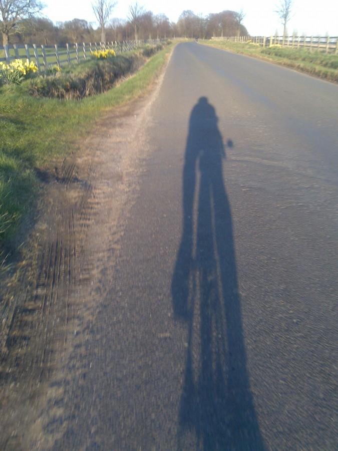 shadow