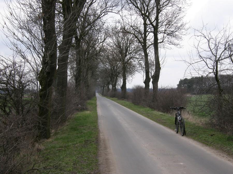 Asfaltowo