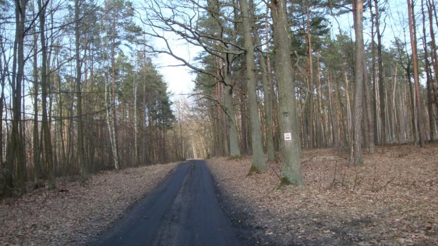Czerwony szlak (Grotniki)
