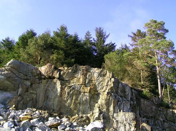 Widoczek