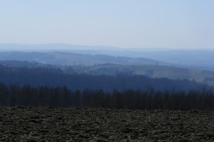 Widok z Borówek