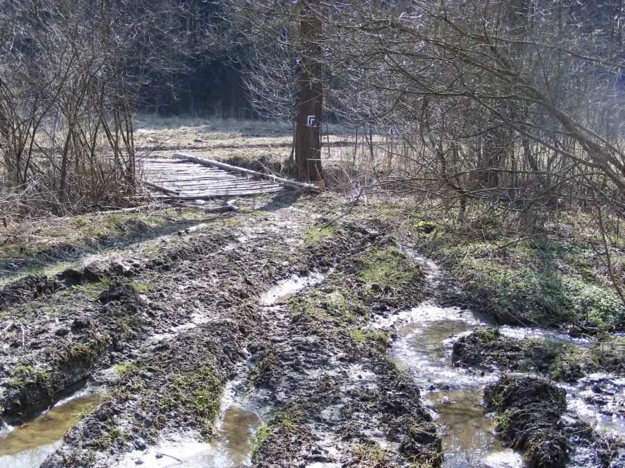 Błotko na szlaku