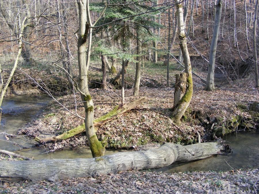Potoczek