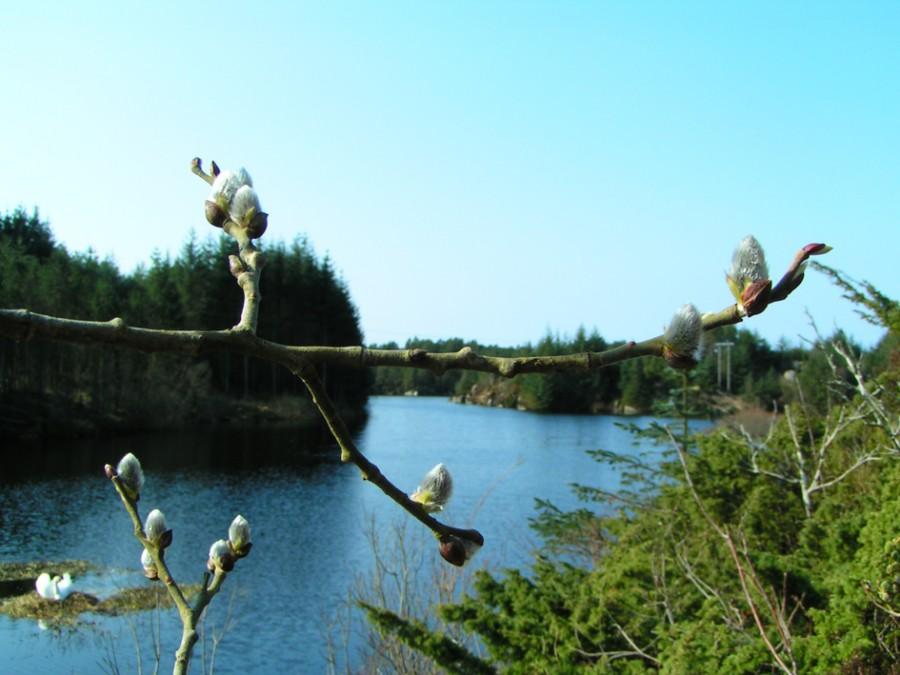 Wiosna w Norwegii