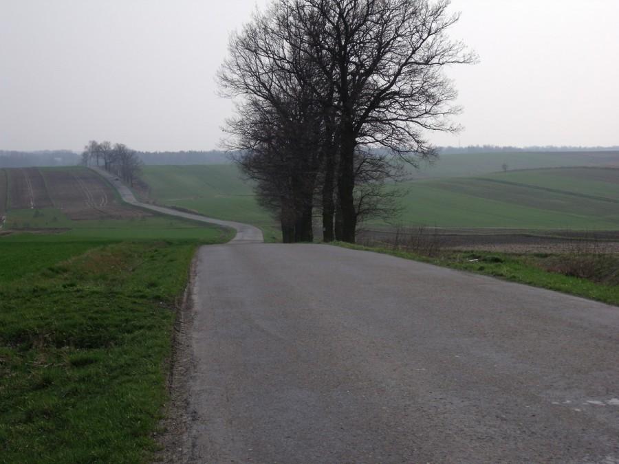 droga do Głębowic