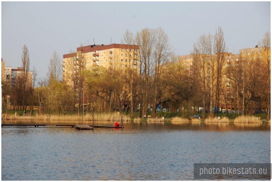 Stawiki