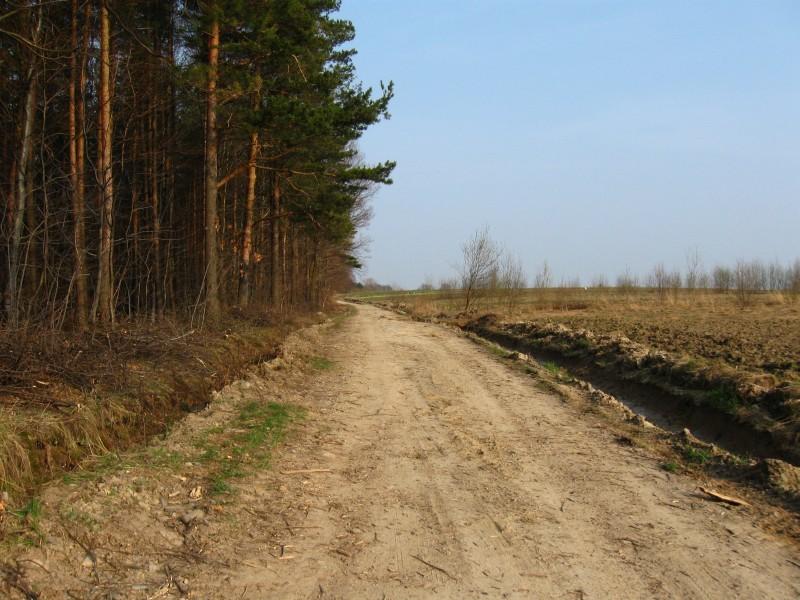 Taka tam dróżka.