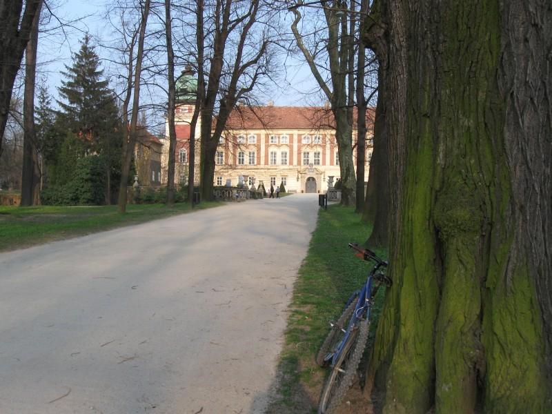 W Łańcucie.