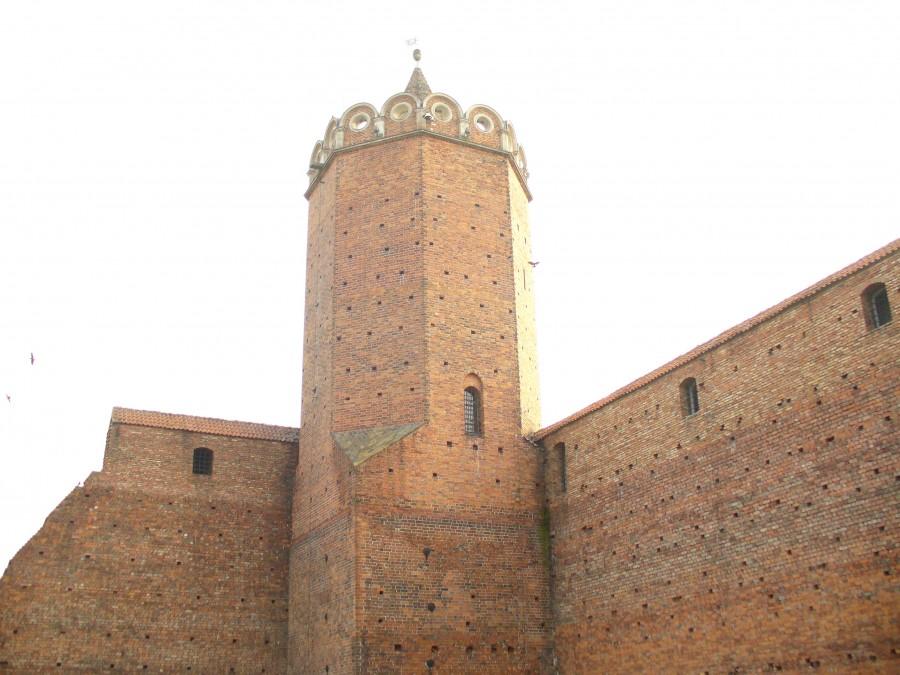 Zamek w Łęczycy