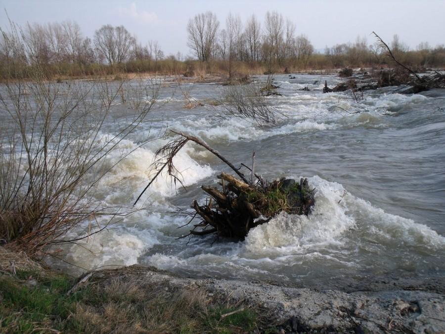 Soła