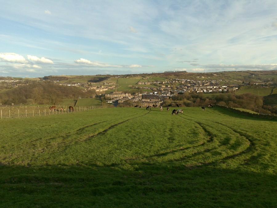 haworth