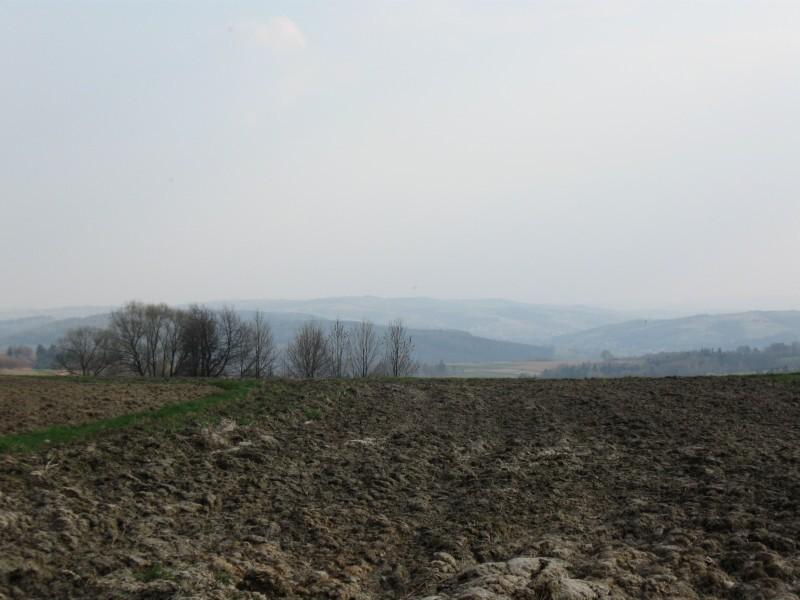 Pogórze Strzyżowskie