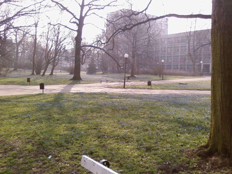 park przy Politechnice Łódzkiej