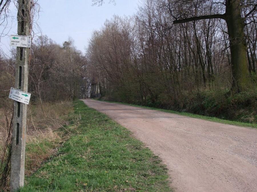 ścieżka rowerowa
