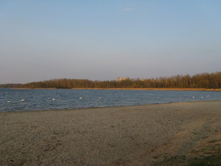 Pogoria