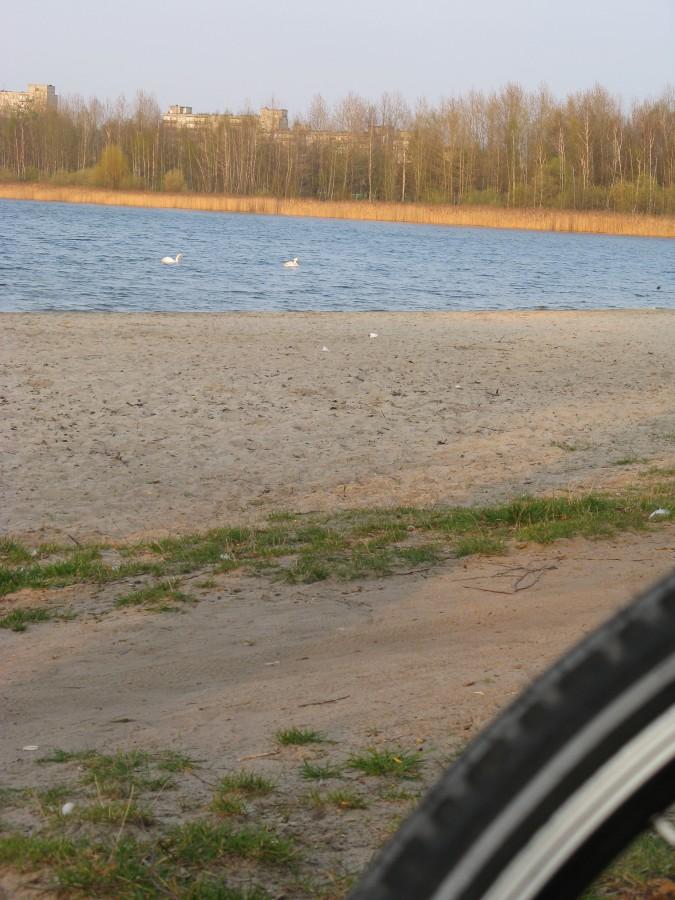 Plaża z kółkiem