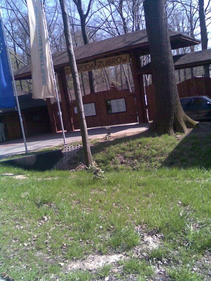 Pszczyna