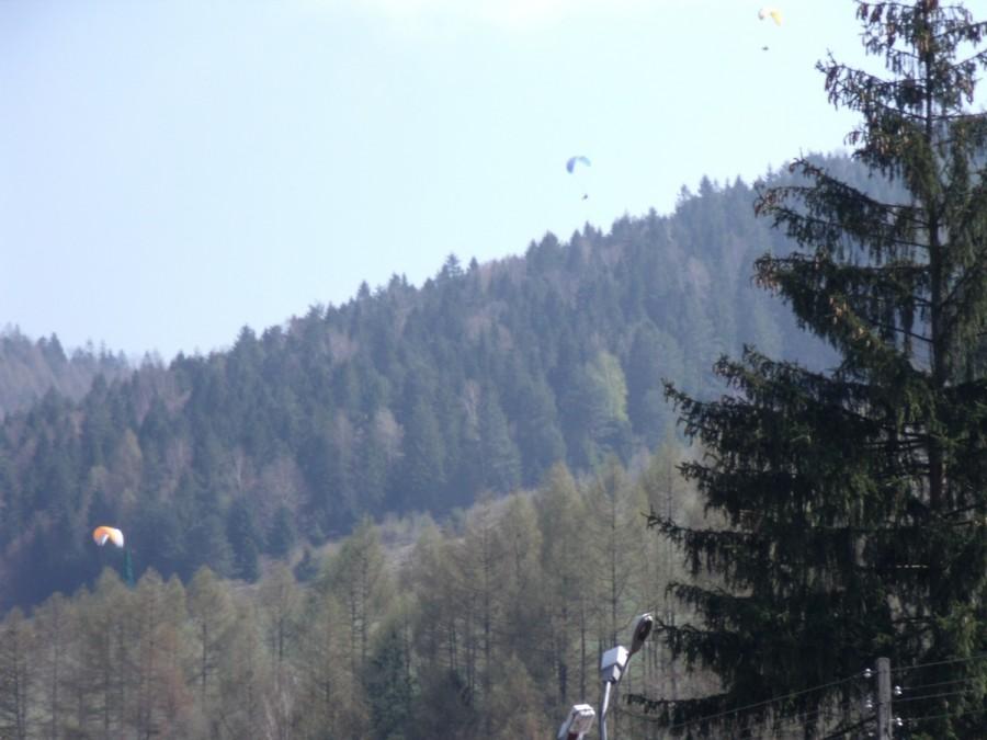 ptakiem być
