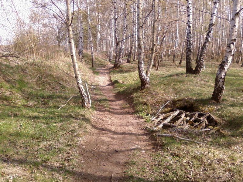 Brus - lasek