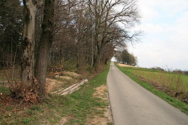 Podjazd na Kokocz