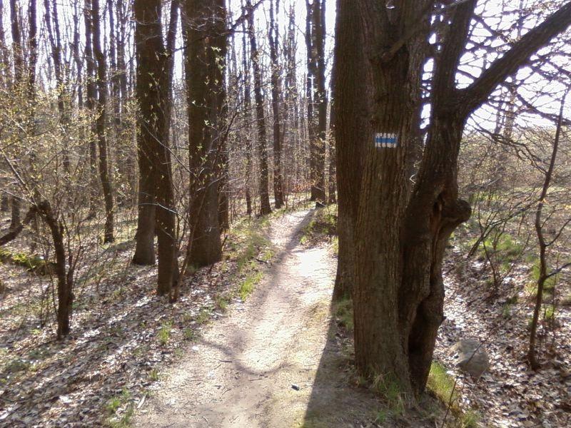 Las Łagiewnicki