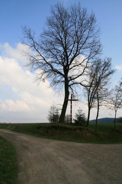 Zwiernik