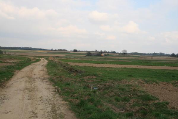 Pola nad Łękami
