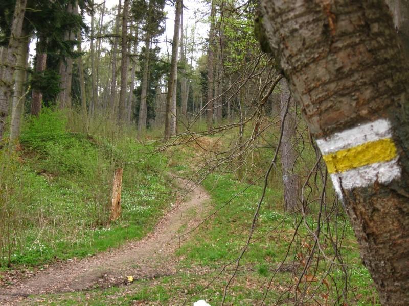 Przed podjazdem.