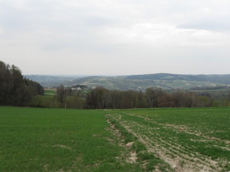 Widok z Żarnowej w stronę Połomii.