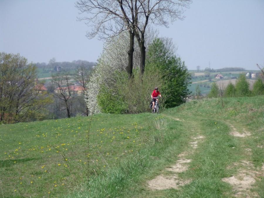 widok z Kuwika