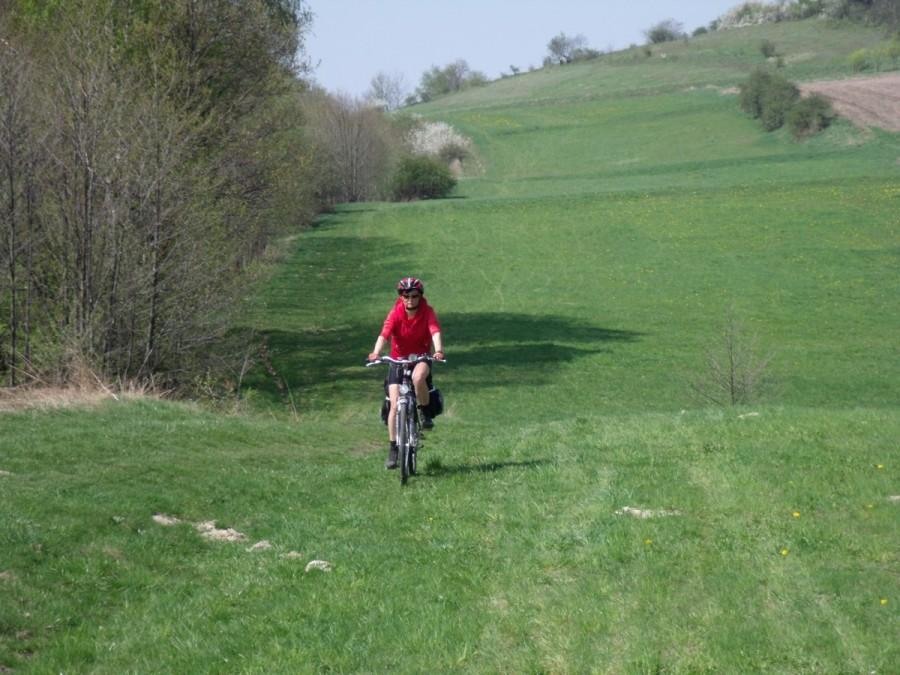teraz w dół