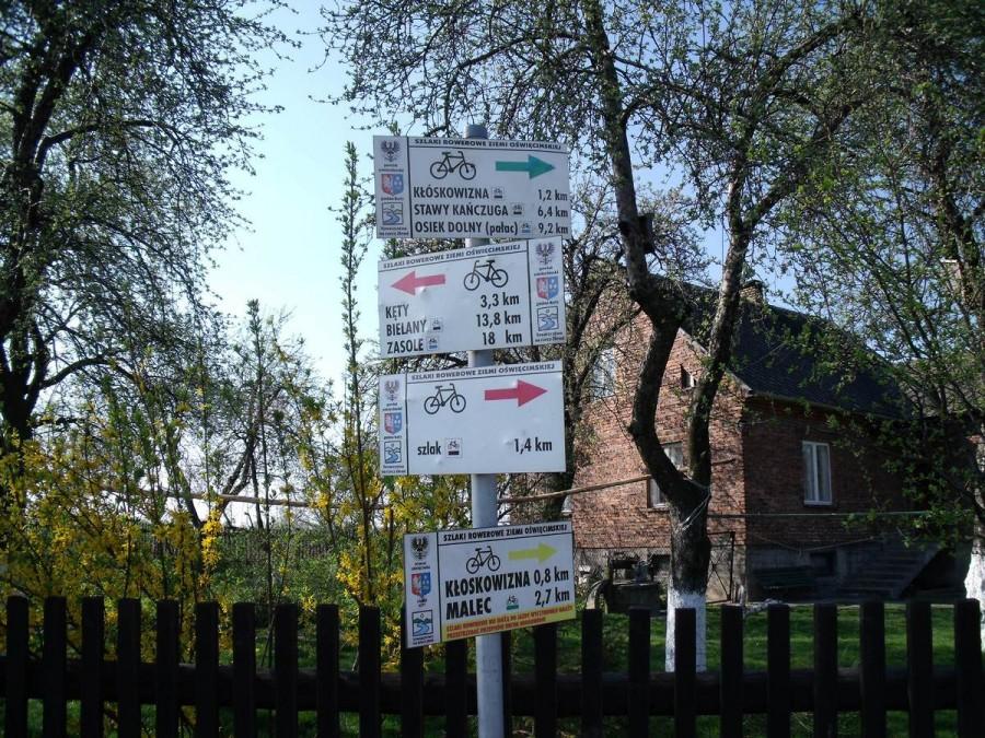 jest gdzie pojeździć