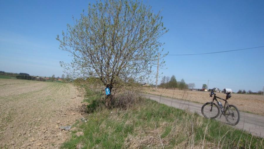 Trasa Mazovia MTB Maraton - Oznaczenie drogi