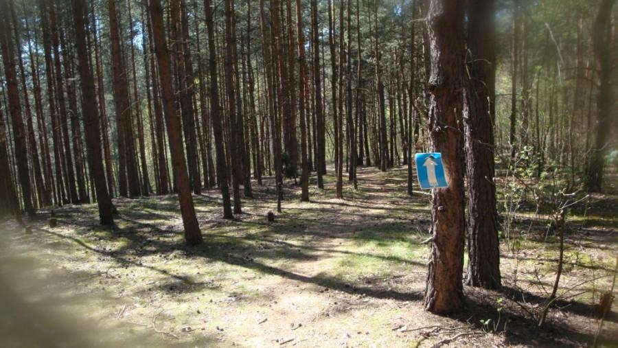 Trasa Mazovia MTB Maraton - Oznaczenie drogi 3