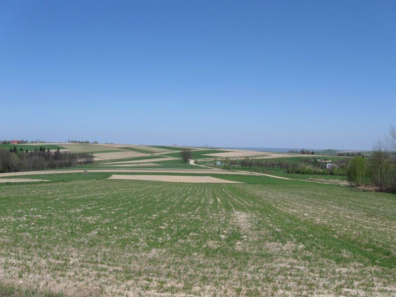 Handzlówka