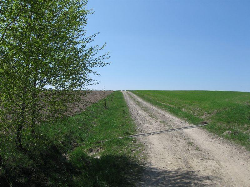 Gdzieś w Handzlówce