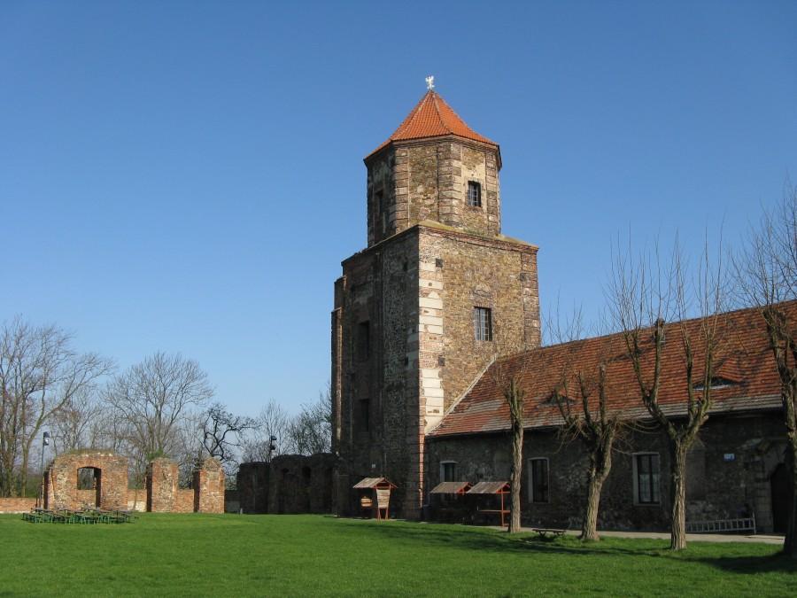 Zamek w Toszku